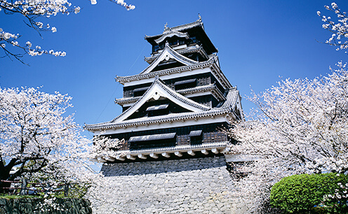 熊本市中央区に強い！